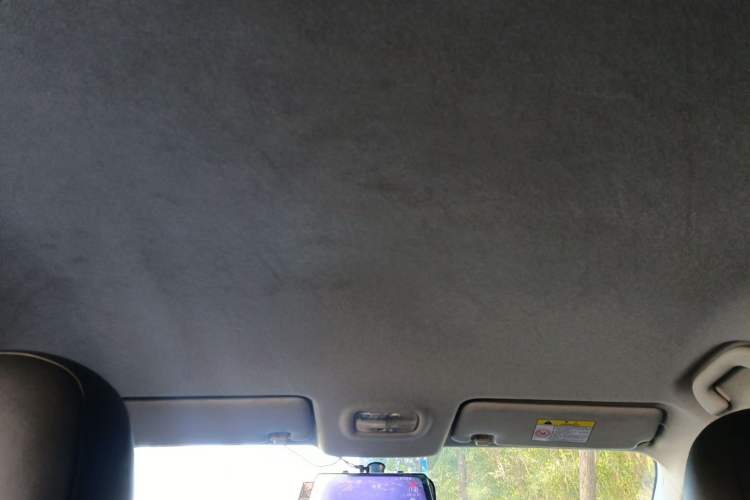 Used FORTHING S60 EV 2022 Comfort Edition Headliner