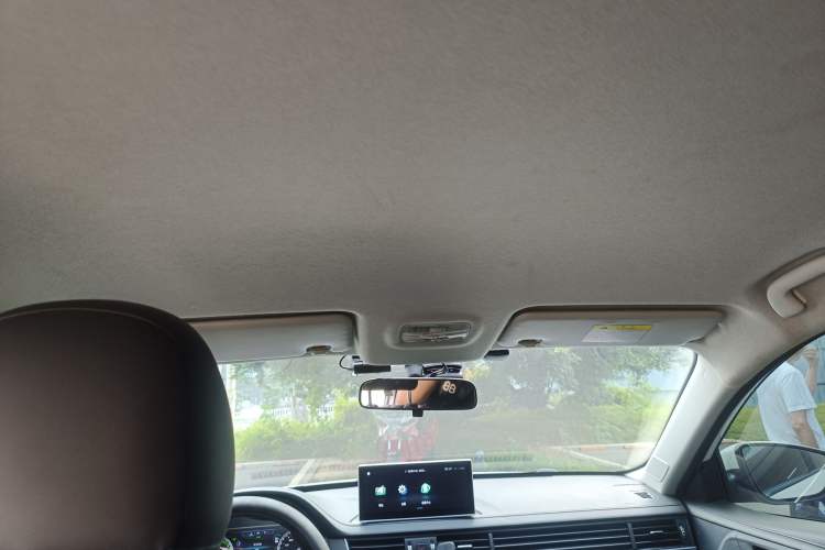 Used FORTHING S60 EV 2022 Comfort Edition Headliner