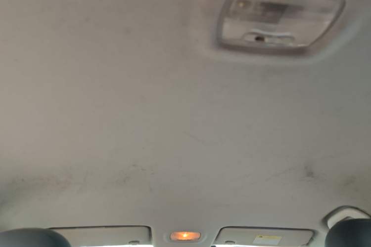 Used FORTHING S60 EV 2022 Comfort Edition Headliner