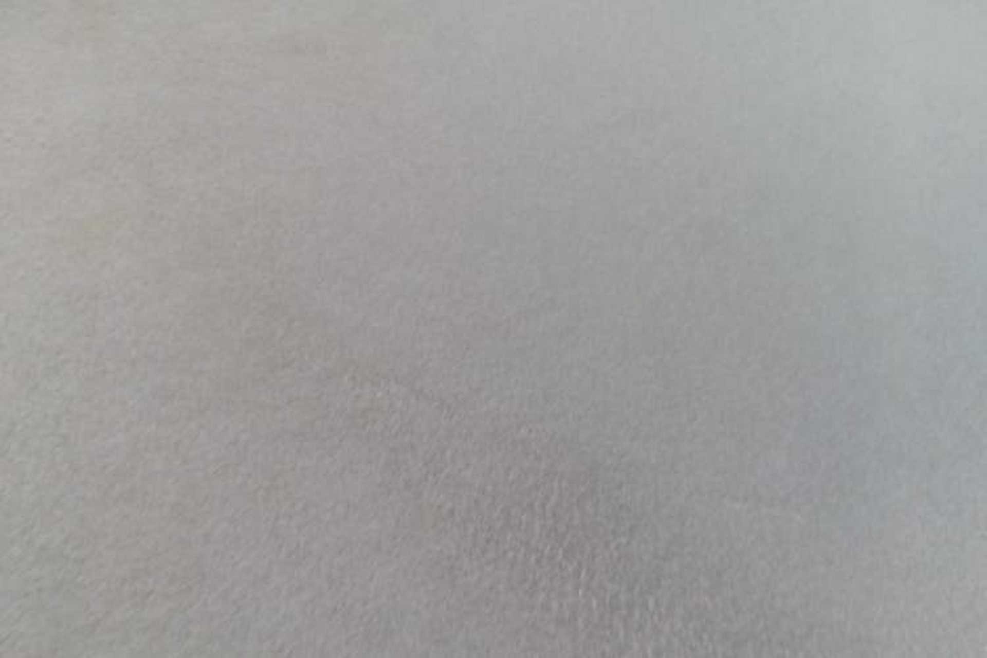 Used FORTHING S60 EV 2022 Comfort Edition Headliner