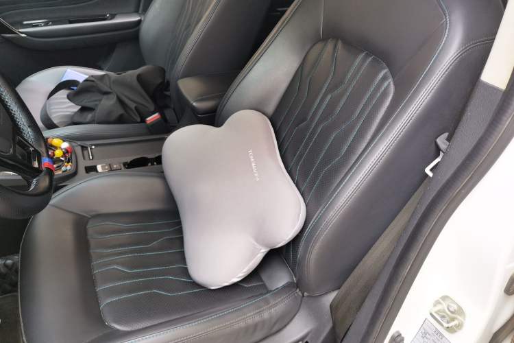 Used FORTHING S60 EV 2022 Comfort Edition Left Front Seat