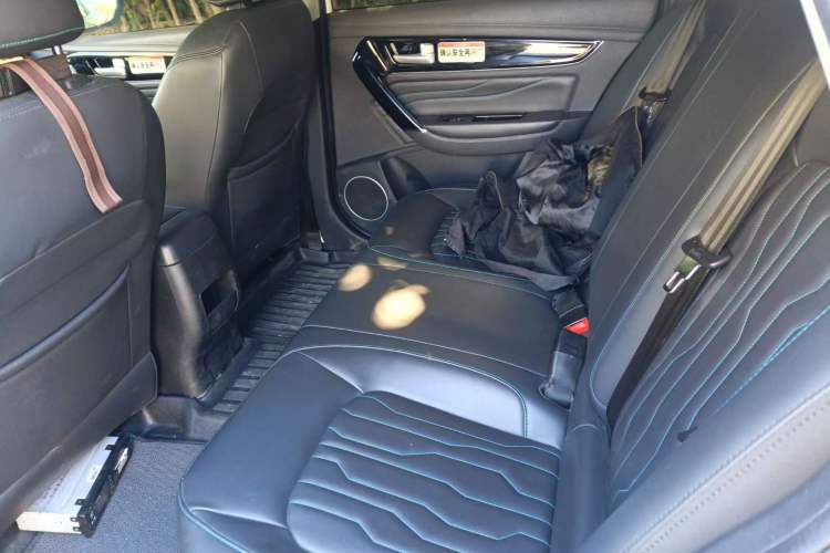 Used FORTHING S60 EV 2022 Comfort Edition Left Rear Seat