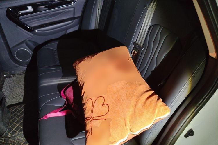 Used FORTHING S60 EV 2022 Comfort Edition Left Rear Seat