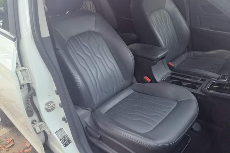 Used FORTHING S60 EV 2022 Comfort Edition Right Front Seat