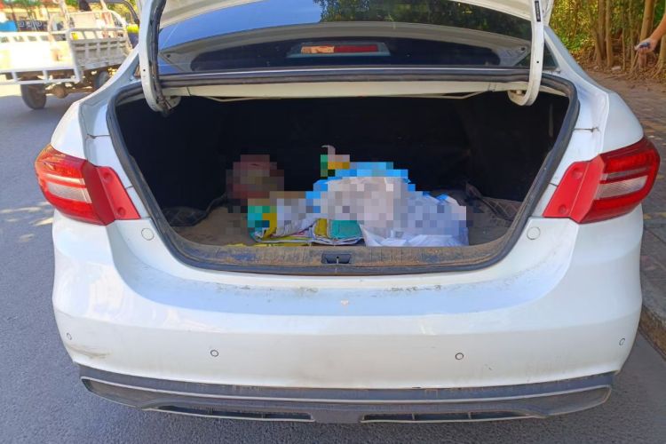 Used FORTHING S60 EV 2022 Comfort Edition Trunk
