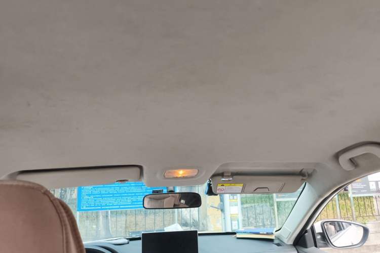 Used FORTHING S60 EV 2024 Elite Model Headliner