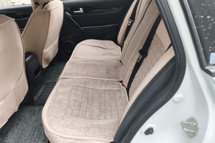 Used FORTHING S60 EV 2024 Elite Model Left Rear Seat