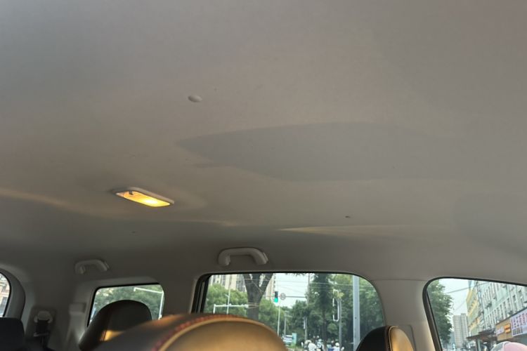 Used FORTHING SX6 2019 1.6L Manual Luxury Model China VI Standard Headliner