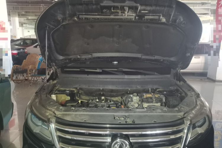 Used FORTHING SX6 2016 1.6L Manual Luxury Model Engine Bay