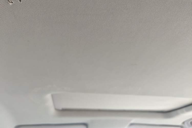 Used FORTHING SX6 2016 2.0L Manual Luxury Version Headliner