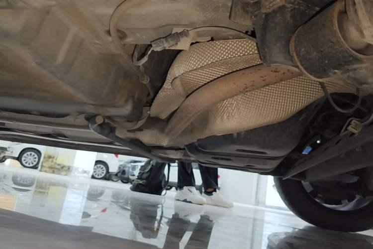 Used FORTHING SX6 2019 1.6L Manual Luxury Model China VI Standard Chassis Rear Left