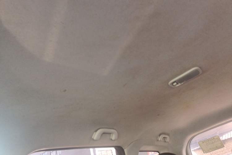 Used FORTHING SX6 2019 1.6L Manual Luxury Model China VI Standard Headliner
