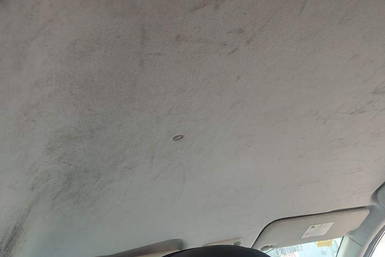 Used FORTHING SX6 2019 1.6L Manual Rural Version China VI Headliner