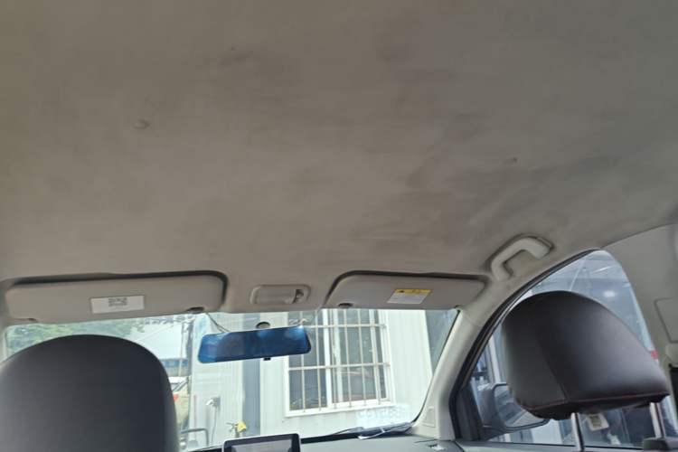 Used FORTHING SX6 2019 1.6L Manual Luxury Model China VI Standard Headliner