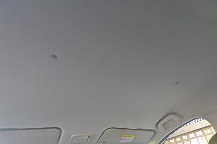 Used FORTHING SX6 2019 1.6L Manual Luxury Model China VI Standard Headliner