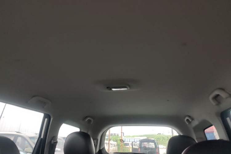 Used FORTHING SX6 2019 1.6L Manual Luxury Model China VI Standard Headliner