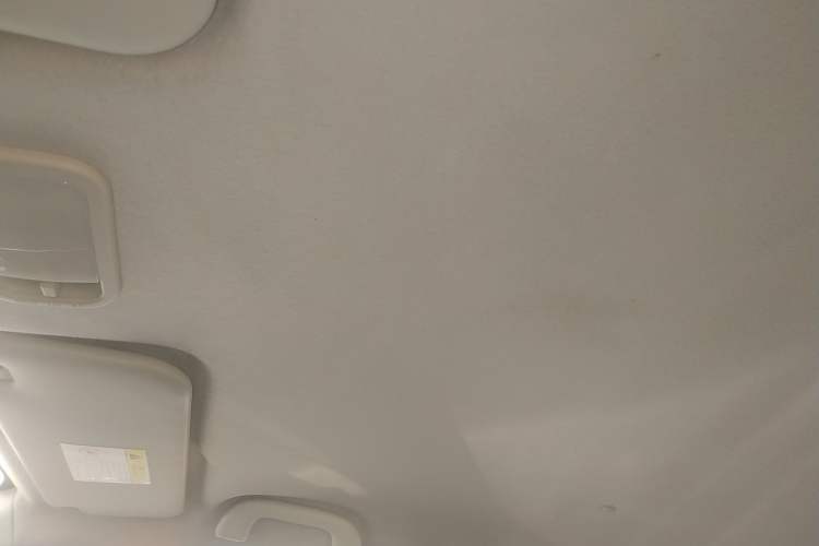 Used FORTHING SX6 2019 1.6L Manual Luxury Model China VI Standard Headliner