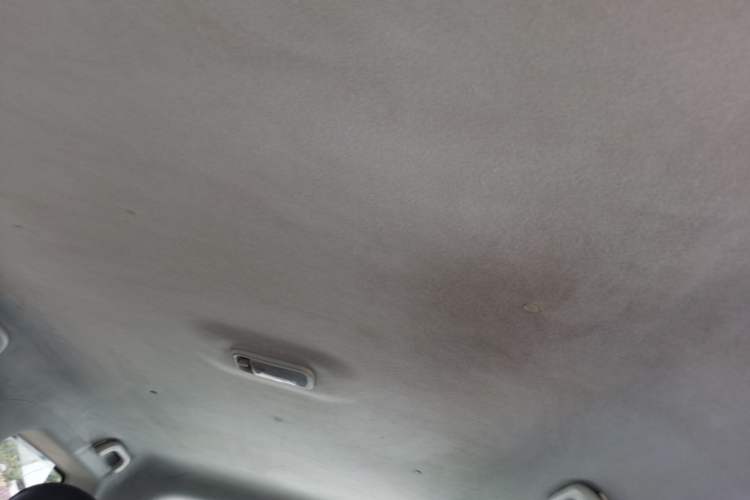 Used FORTHING SX6 2019 1.6L Manual Luxury Model China VI Standard Headliner