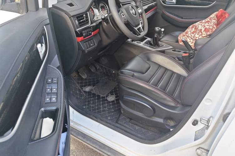 Used FORTHING SX6 2019 1.6L Manual Luxury Model China VI Standard Interior 3