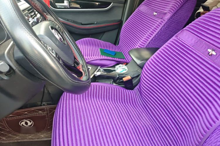 Used FORTHING SX6 2019 1.5T CVT Luxury Model Left Front Seat
