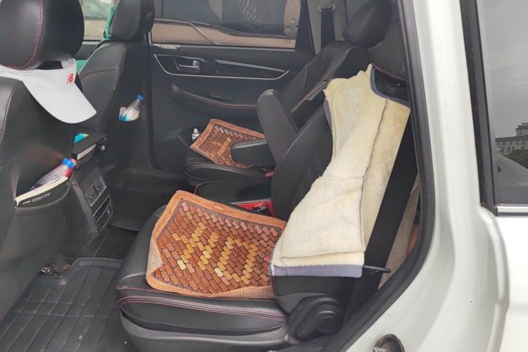 Used FORTHING SX6 2019 1.6L Manual Luxury Model China VI Standard Left Rear Seat