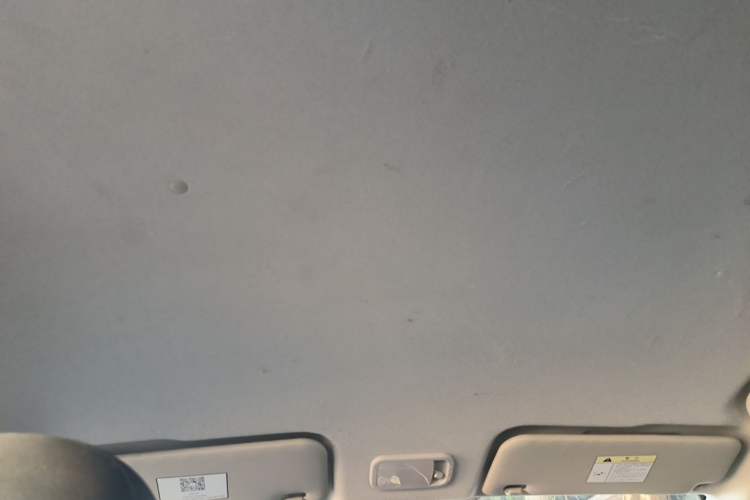 Used FORTHING SX6 2020 1.6L Manual Comfort Model China VI Standard Headliner