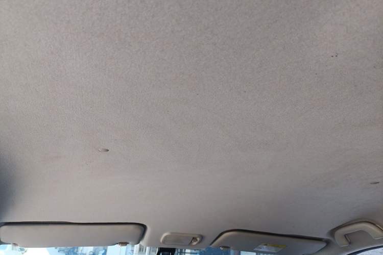 Used FORTHING SX6 2020 1.6L Manual Comfort Model China VI Standard Headliner