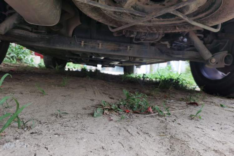 Used FORTHING SX6 2021 1.6L Manual Global Anniversary Edition Chassis Rear