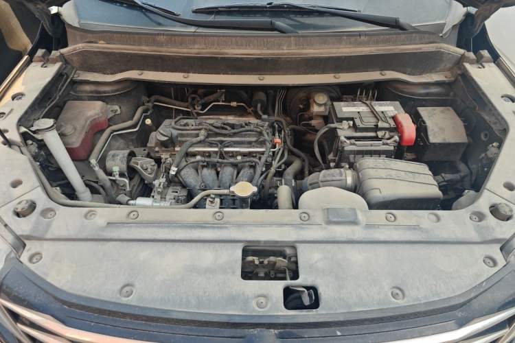 Used FORTHING SX6 2021 1.6L Manual Global Anniversary Edition Engine Bay