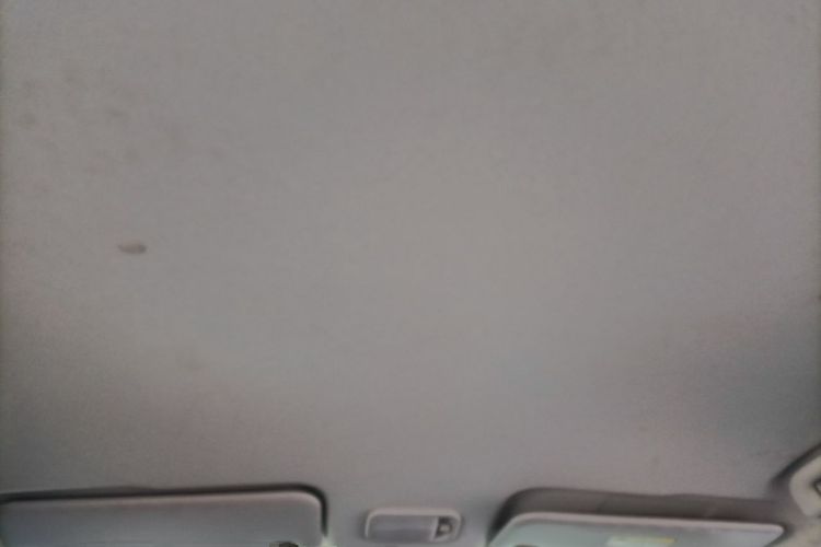 Used FORTHING SX6 2021 1.6L Manual Global Anniversary Edition Headliner