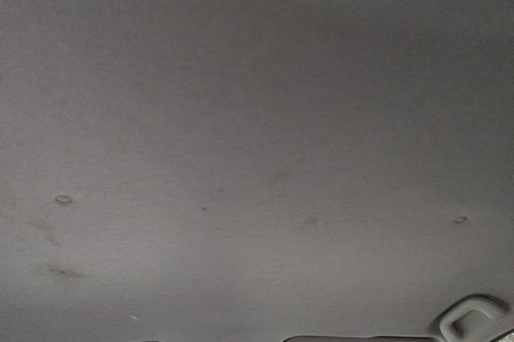 Used FORTHING SX6 2023 1.6L Manual Comfort Model Headliner