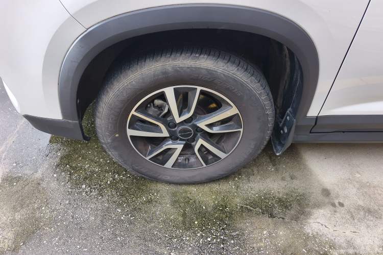 Used FORTHING T5 2021 1.5T Automatic Comfort Version Exterior 7