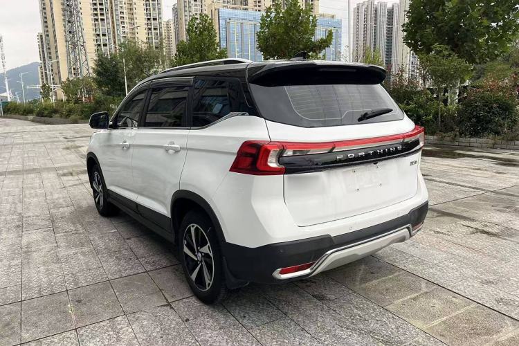 Used FORTHING T5 2020 1.6L Manual Luxury Model China VI Standard Exterior 8