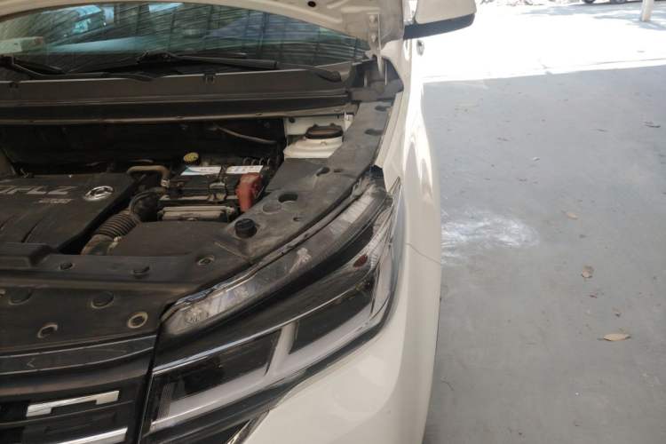 Used FORTHING T5 2018 230T CVT Zhiyue Trim Engine Bay Left