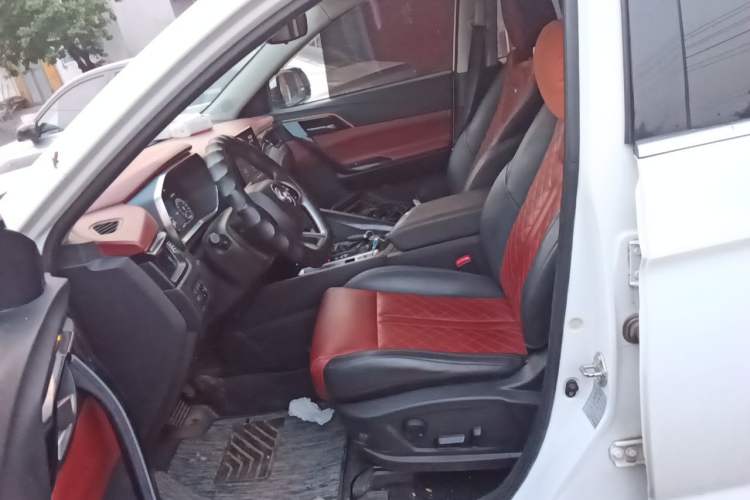 Used FORTHING T5 2018 300T DCT Smart Version Left Front Seat