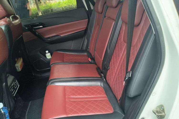Used FORTHING T5 2018 300T DCT Zhiyue Trim Left Rear Seat