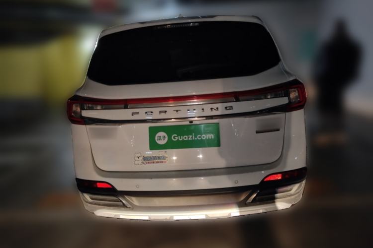 Used FORTHING T5 2018 300T DCT Smart Version Rear