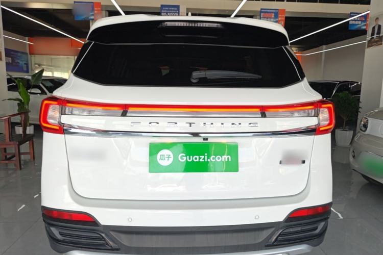 Used FORTHING T5 2018 300T DCT Smart Enjoyment Version Rear