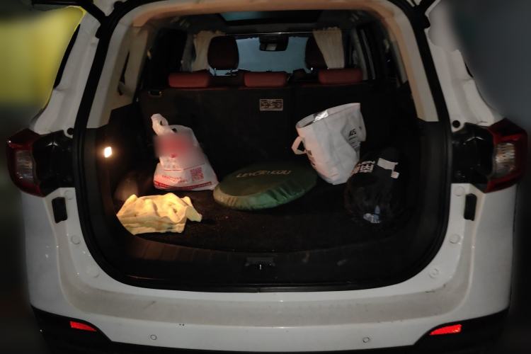 Used FORTHING T5 2018 300T DCT Smart Version Trunk