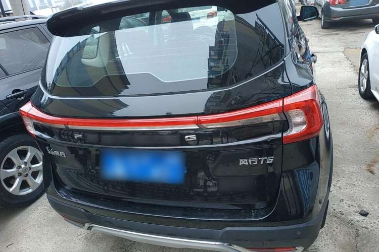 Used FORTHING T5 2020 1.6L Manual Comfort Model China VI Standard Rear