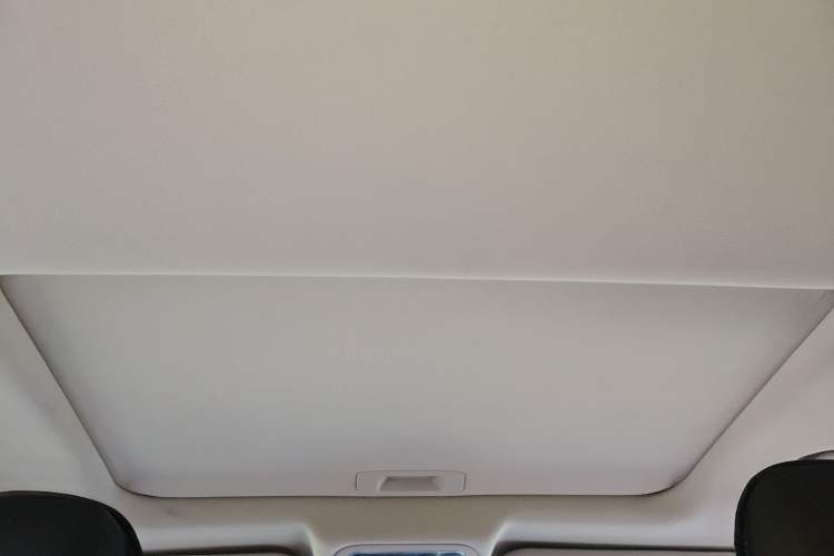 Used FORTHING T5 2020 1.6L Manual Luxury Model China VI Standard Headliner