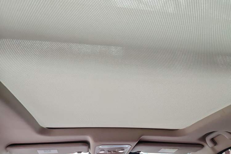 Used FORTHING T5 2020 1.5T Automatic Prestige Model China VI Headliner