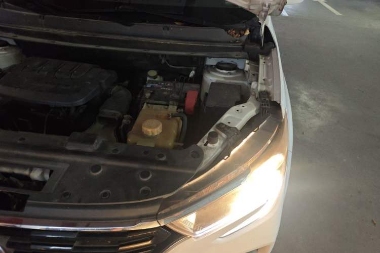 Used FORTHING T5 2020 1.5T Automatic Luxury Model China VI Standard Engine Bay Left