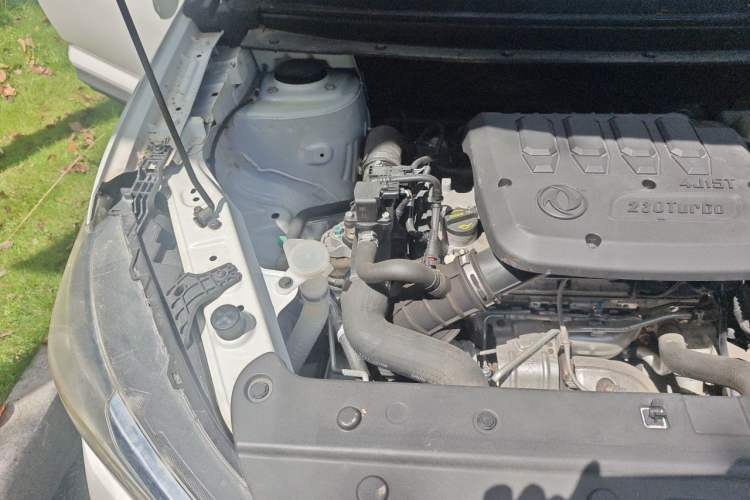 Used FORTHING T5 2020 1.5T Automatic Luxury Edition China VI Standard Engine Bay Right