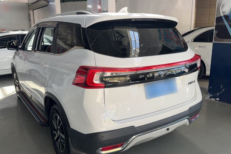 Used FORTHING T5 2020 1.6L Manual Comfort Model China VI Standard Exterior 4