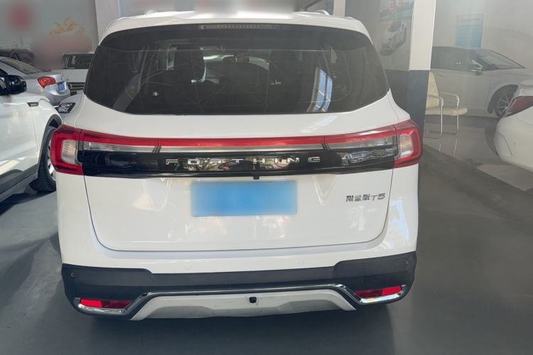 Used FORTHING T5 2020 1.6L Manual Comfort Model China VI Standard Exterior 5