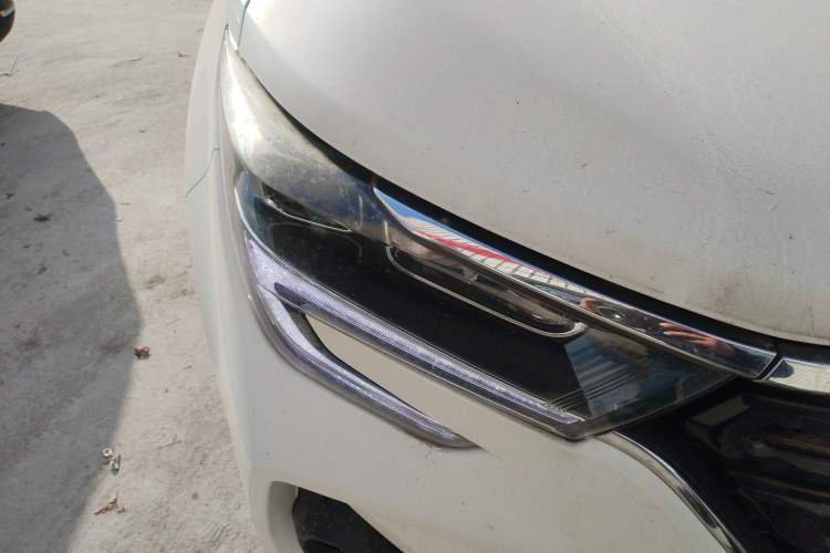 Used FORTHING T5 2020 1.6L Manual Comfort Model China VI Standard Exterior 6