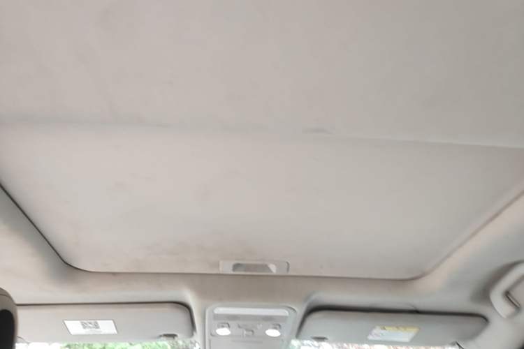 Used FORTHING T5 2020 1.6L Manual Comfort Model China VI Standard Headliner
