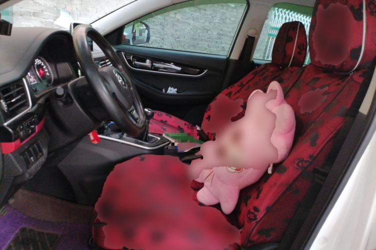 Used FORTHING T5 2020 1.6L Manual Luxury Model China VI Standard Left Front Seat