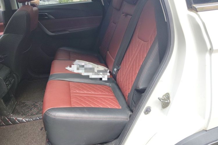 Used FORTHING T5 2020 1.5T Automatic Luxury Model China VI Standard Left Rear Seat
